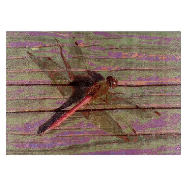Dragonfly Colorful (Framsidan)