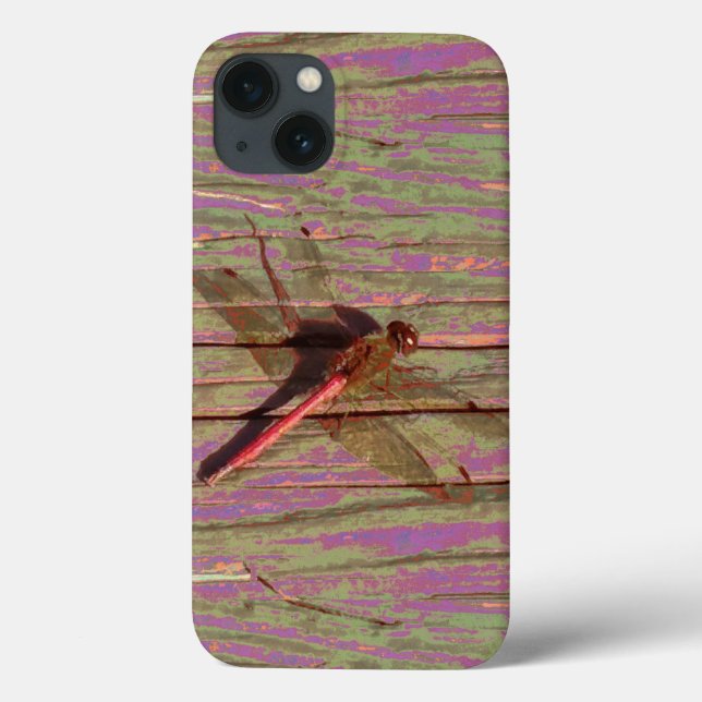 Dragonfly Colorful (Baksida)