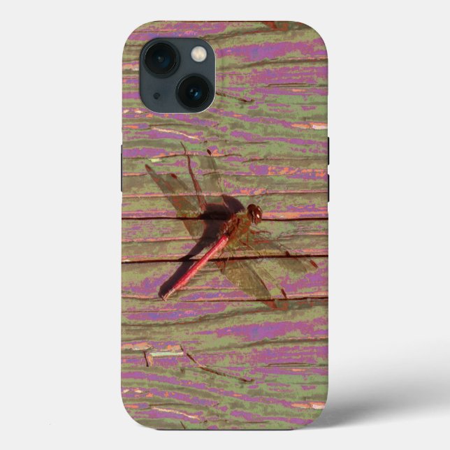 Dragonfly Colorful (Baksida)