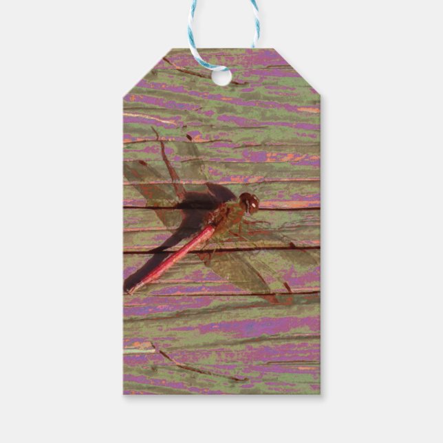 Dragonfly Colorful Gift-Märkre Presentetikett (Framsidan)