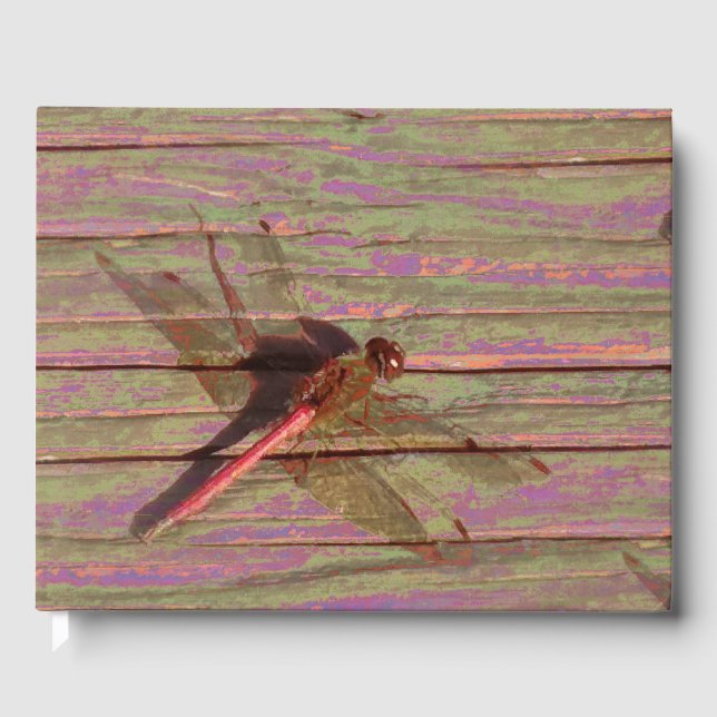 Dragonfly Colorful Guest Bok (Framsida)