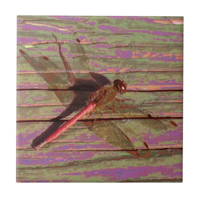 Dragonfly Colorful Kakelplatta (Framsidan)