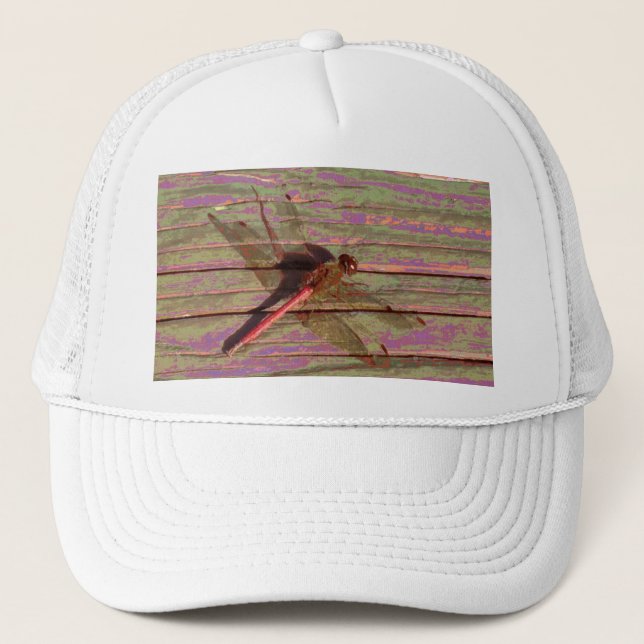 Dragonfly Colorful Keps (Framsida)