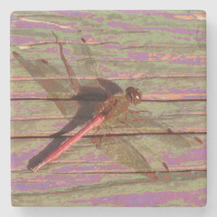 Dragonfly Colorful Stenunderlägg