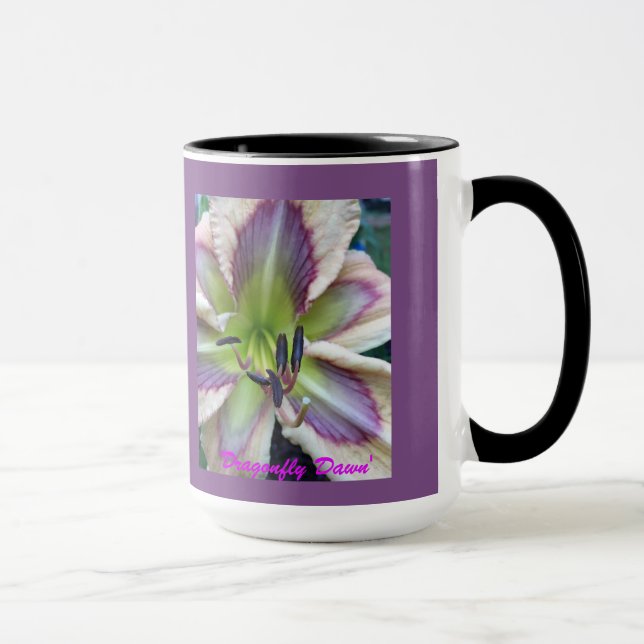 ‘Dragonfly Dawn’ Daglilja Mugg (Höger)