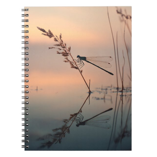 Dragonfly Dawn Reflection Notebook Anteckningsbok (Framsidan)