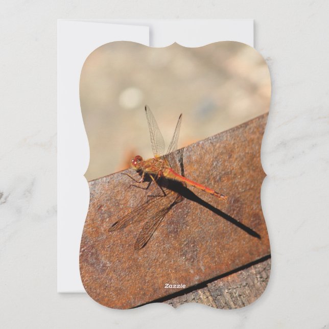 Dragonfly-design med brun julkort (Baksida)