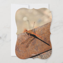 Dragonfly-design med brun julkort