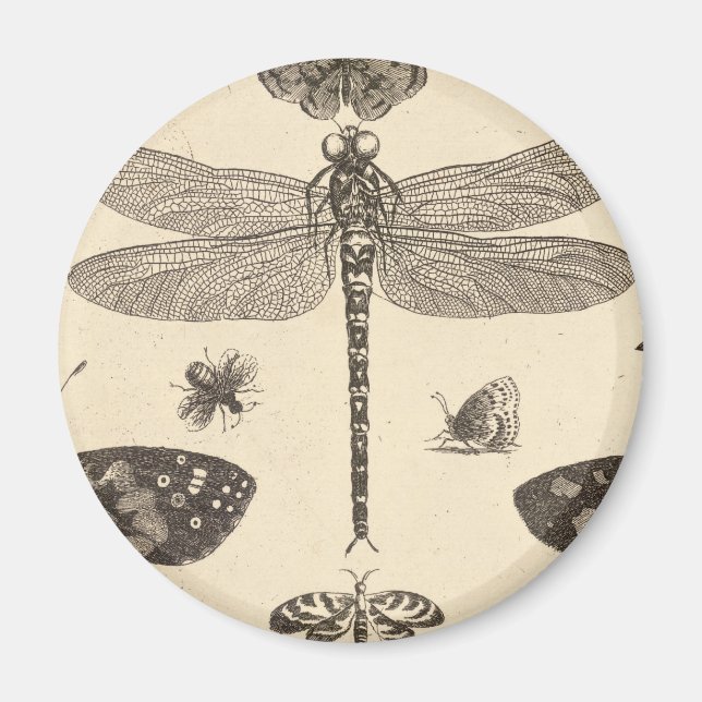 Dragonfly ( detalj ) Vintage Art Magnet (Framsidan)