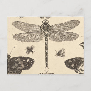 Dragonfly ( detalj ) Vintage Art Vykort