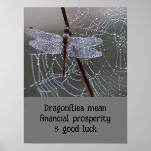 Dragonfly Dragonflies betyder kort Poster