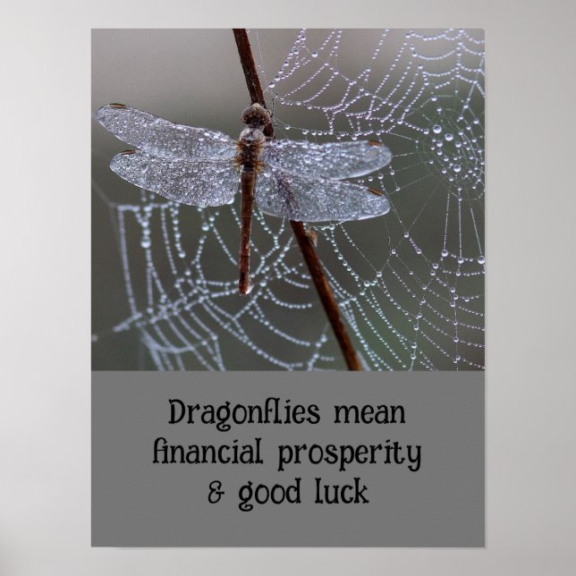 Dragonfly Dragonflies betyder kort Poster (Framsidan)