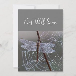 Dragonfly Dragonflies kommer snart Kort