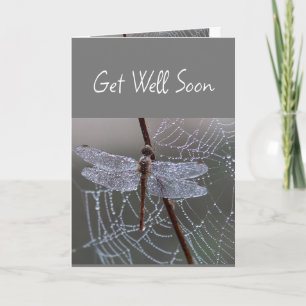 Dragonfly Dragonflies kommer snart Kort