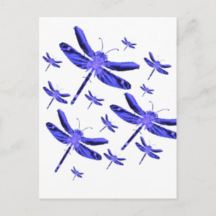Dragonfly Dragonflies Vykort