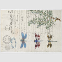Dragonfly Ephemera Furniture Decoupage Papprare