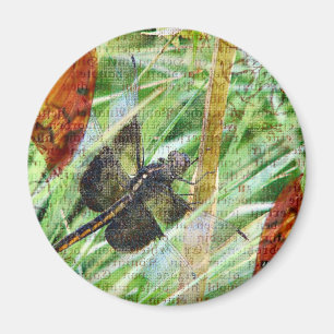 Dragonfly, flyget magnet