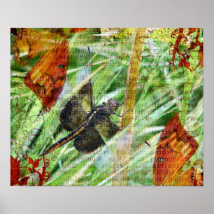 Dragonfly, flyget poster