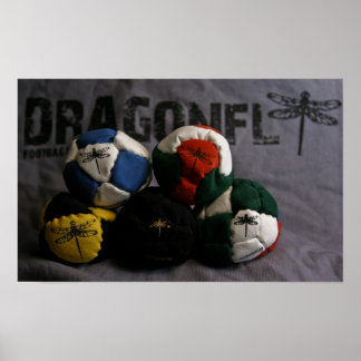 Dragonfly Footbag Poster