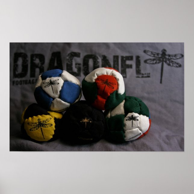 Dragonfly Footbag Poster (Framsidan)