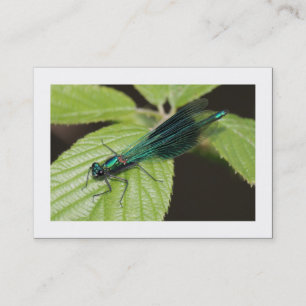 Dragonfly (gränsad) visitkort