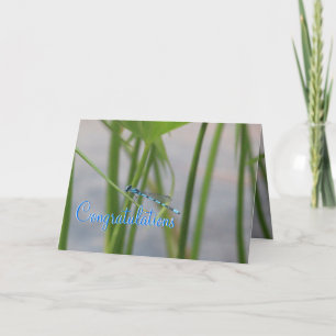 Dragonfly Grattiss Card Kort