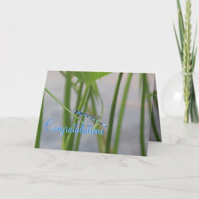 Dragonfly Grattiss Card Kort (Framsida)