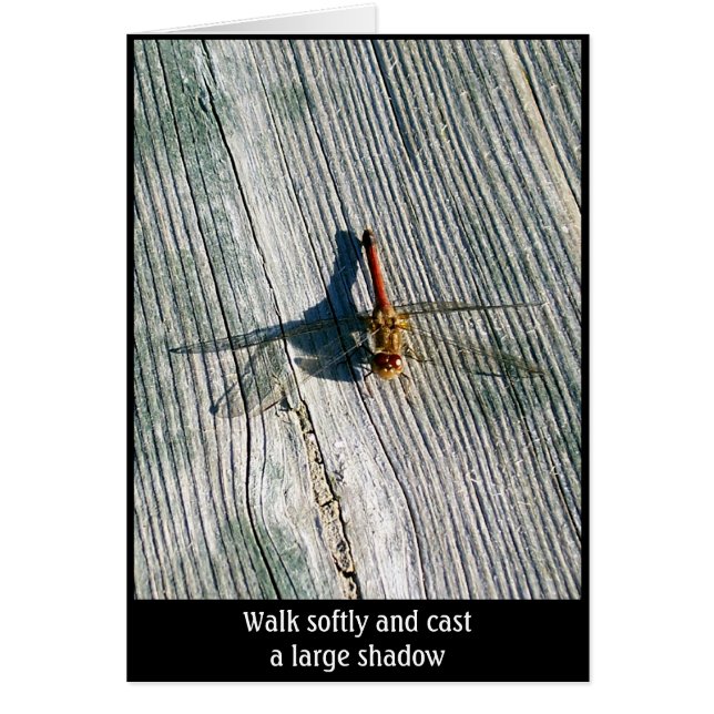 Dragonfly Hälsningskort (Framsidan)