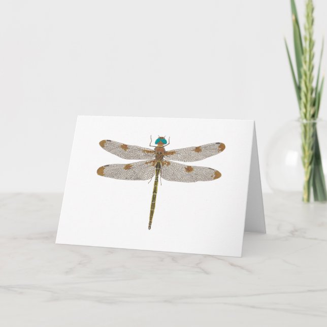 Dragonfly-hälsningskort Kort (Framsida)
