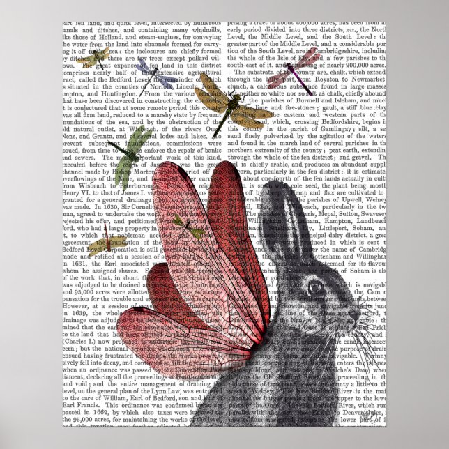 Dragonfly Hare Poster (Framsidan)