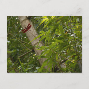 Dragonfly i Bamboo-vykort Vykort