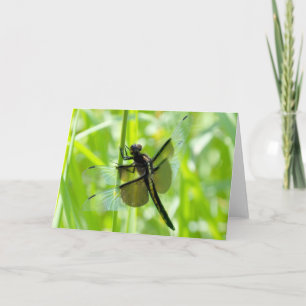 Dragonfly i Garden Kort