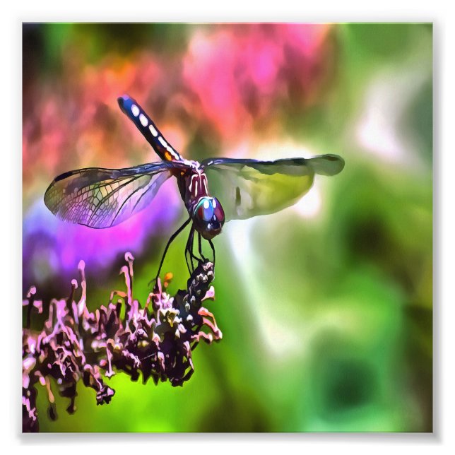 Dragonfly i Grönt och blå, realistisk målning Fototryck (Framsidan)
