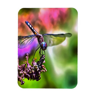 Dragonfly i Grönt och blå, realistisk målning Magnet