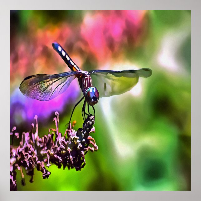 Dragonfly i Grönt och blå, realistisk målning Poster (Framsidan)