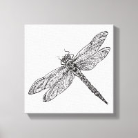 Dragonfly i Stil 6