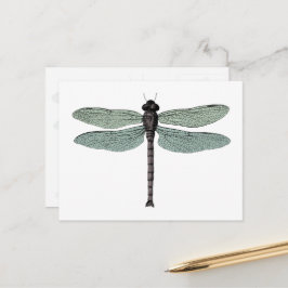 Dragonfly Illustration av Vintagen Antique Typogra Vykort