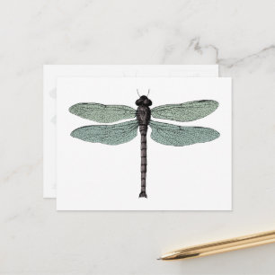 Dragonfly Illustration av Vintagen Antique Typogra Vykort