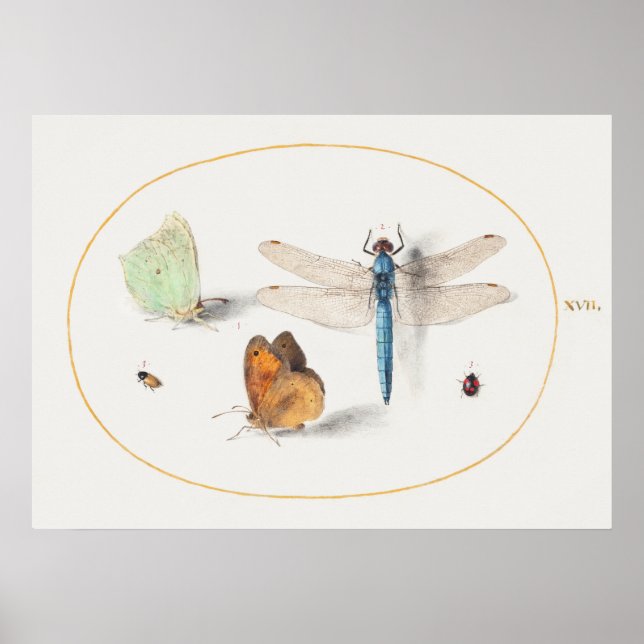 Dragonfly Illustration Poster (Framsidan)