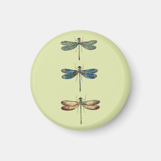 Dragonfly Illustrations Magnet (Framsidan)