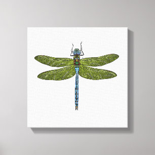 Dragonfly insekt stänger upp vibrerande färg canvastryck