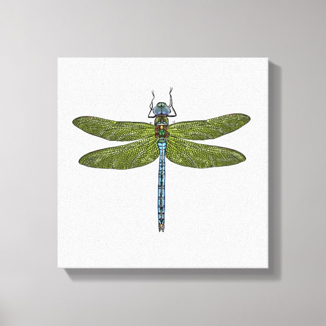 Dragonfly insekt stänger upp vibrerande färg canvastryck (Framsida)