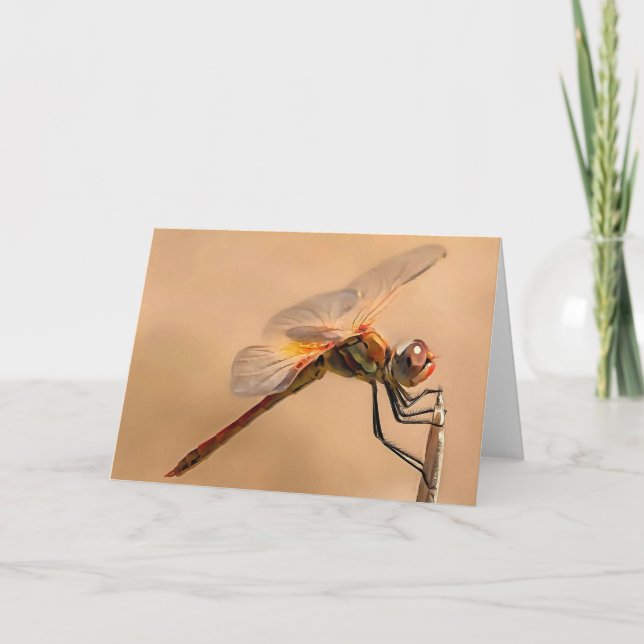 Dragonfly isolerad mot Ecru Kort (Framsida)