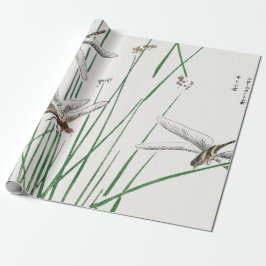 DRAGONFLY JAPANESE Wälla Papprare Presentpapper