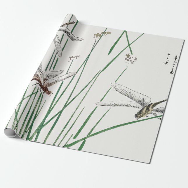 DRAGONFLY JAPANESE Wälla Papprare Presentpapper (Utrullad)