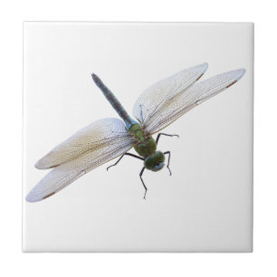 Dragonfly Kakelplatta