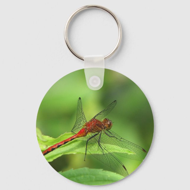 Dragonfly Keychain Nyckelring (Framsida)