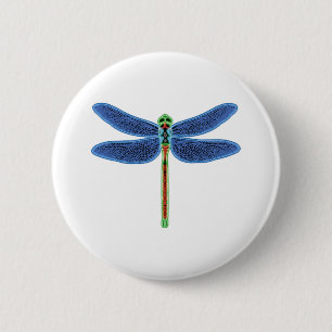 Dragonfly Knapp
