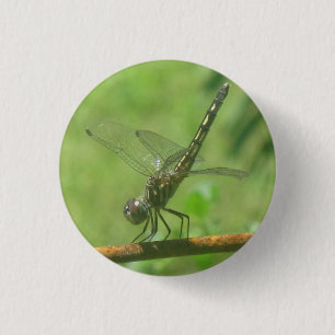 Dragonfly-knapp Knapp