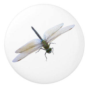 Dragonfly Knopp